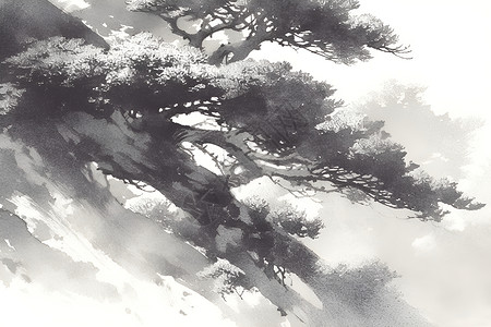 云雾中的松柏背景图片