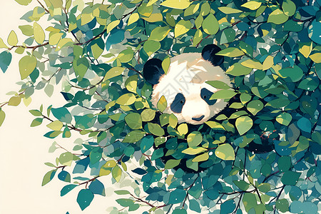 熊猫栖身枝叶下高清图片