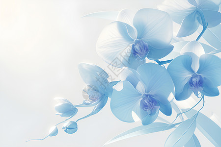 清新典雅的蓝色兰花背景图片