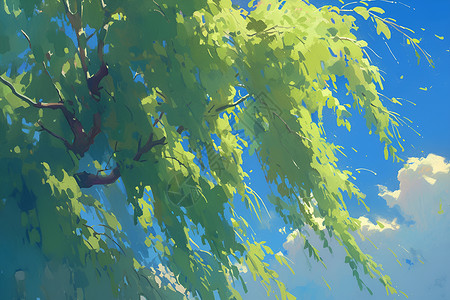 柳枝素材蓝天下的柳树插画