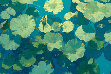 池塘水面清新的荷叶景观插画