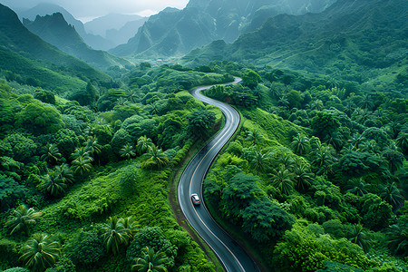 大雾森林绿色山道上的驰骋景观设计图片