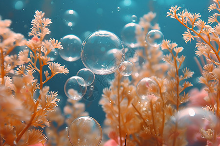 植物海草海底的泡泡插画