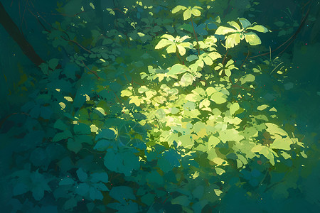 阳光洒在树叶上阳光洒在丛林中插画