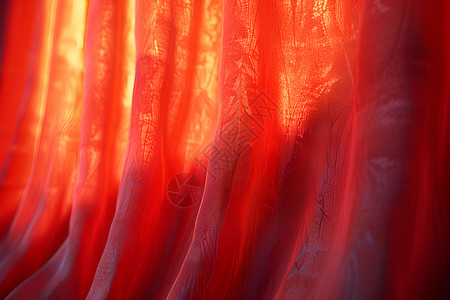 窗帘布料红色窗帘插画