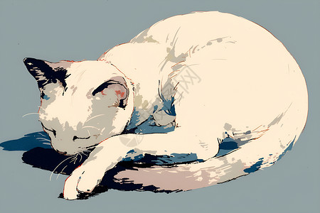 睡觉的白猫背景图片