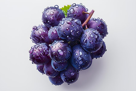 紫色的葡萄葡萄上的水珠背景