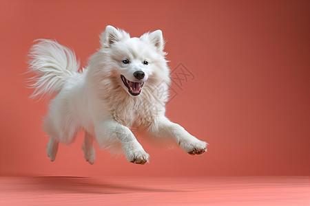 富士山背景插画欢乐奔跑的狗狗背景