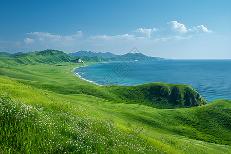 湖边的草地背景图片