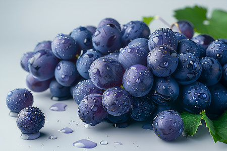 紫色转盘新鲜的葡萄背景