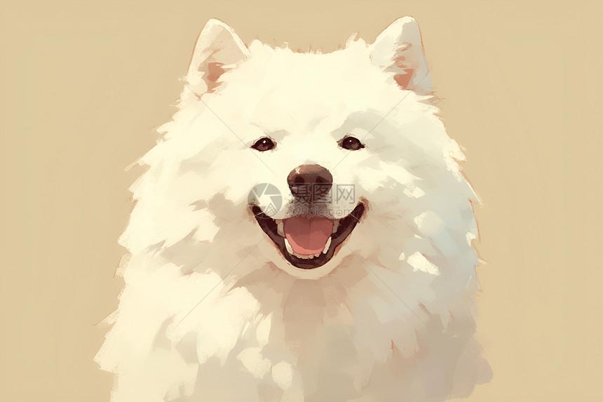笑容开心的萨摩耶犬图片