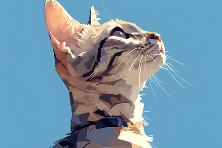 抬头看天抬头望天的猫咪插画