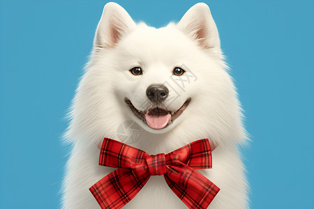 萨摩耶狗可爱的白狗戴红色领结插画