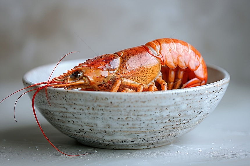 盘子中的龙虾食物图片