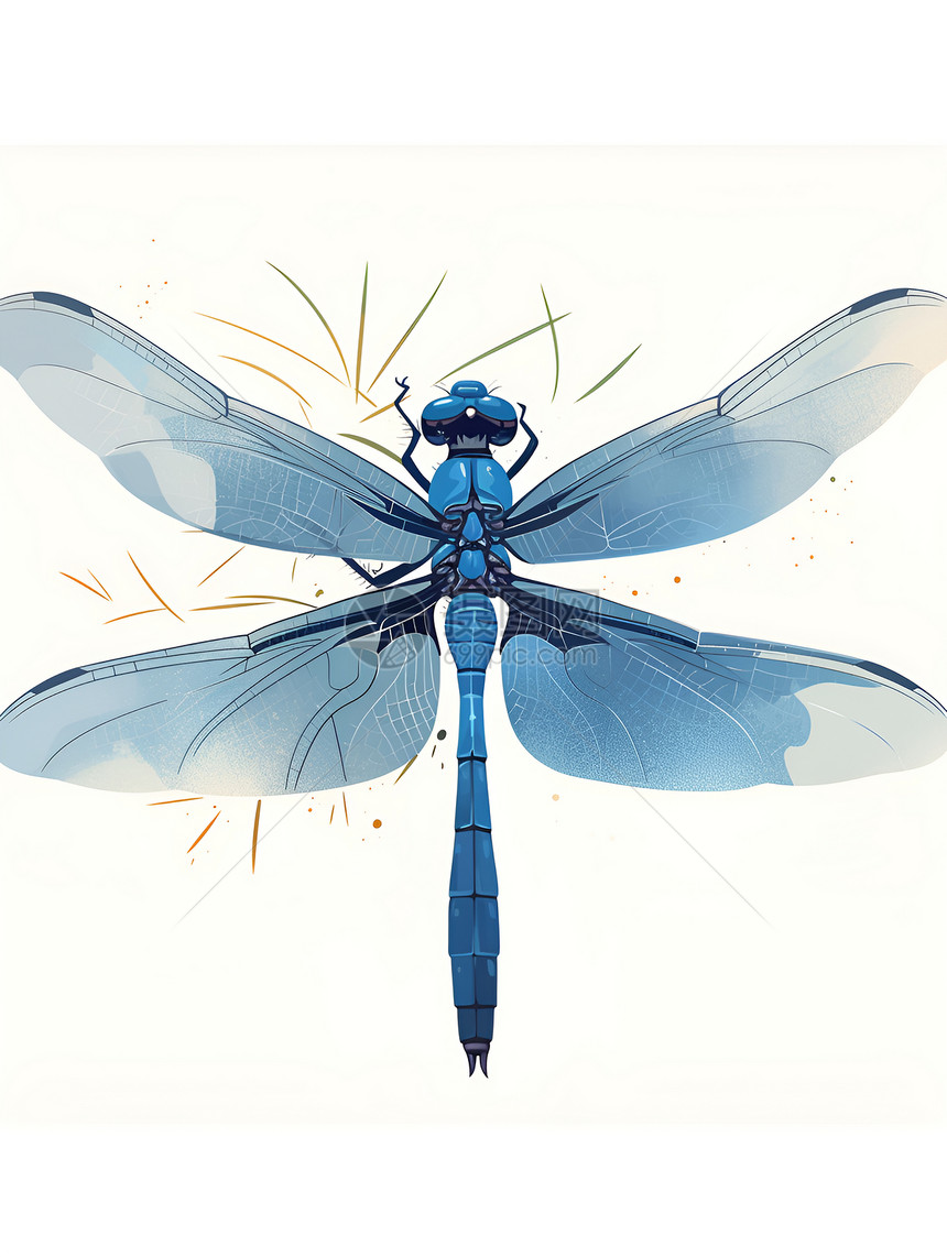 蓝色蜻蜓插画图片