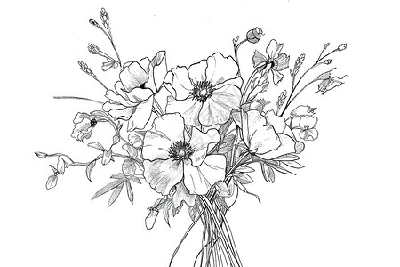 花朵黑白清新自然的花朵素描插画