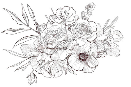 黑白花卉素材花朵素描插画插画