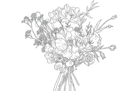 一束素描花卉背景图片