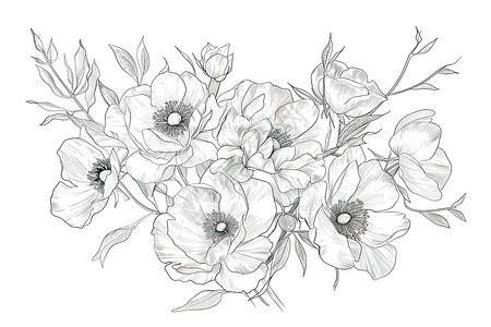 简约黑白背景一束花的绘画插画