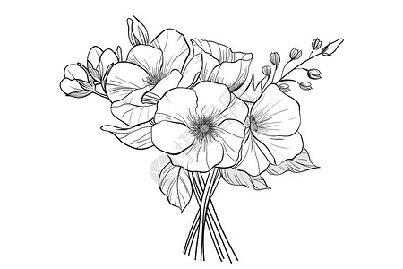 素描花朵简约的花朵绘画插画