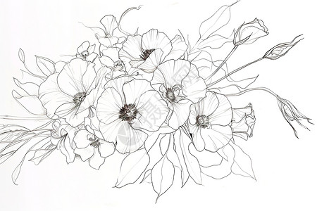 黑白花卉素材花束图案插画插画
