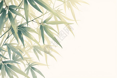 夏日的翠竹背景图片