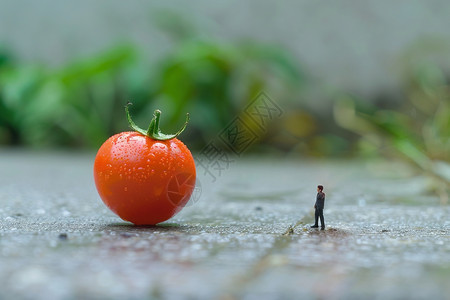 新鲜种植创意西红柿和小人设计图片
