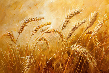农作物秸秆麦田中的麦穗绘画插画