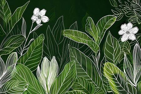 描边叶子绿白植物细描插画