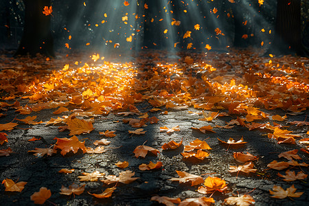 树叶地阳光穿透树叶洒落在地面上插画