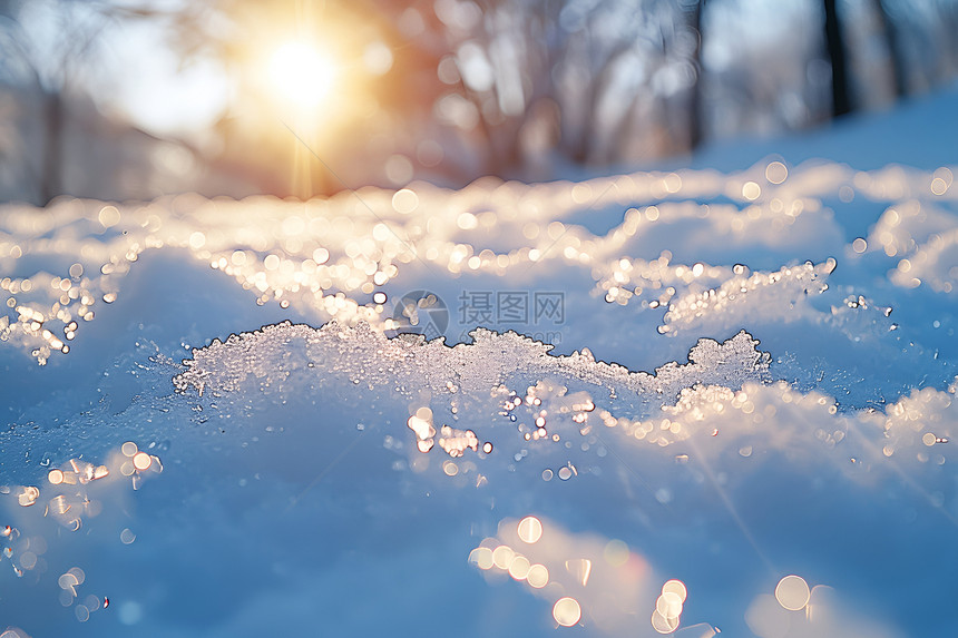 冰雪中的闪光美景图片