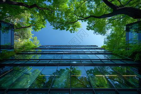 商务玻璃玻璃高楼前的绿树插画