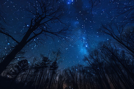 夜空下的星辰与树木背景图片