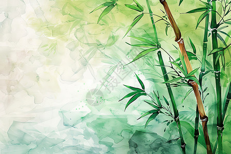 绘画的竹子水彩画高清图片