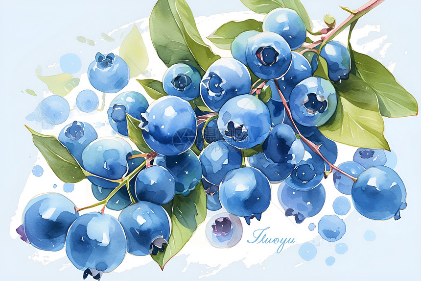 清新蓝莓背景图片