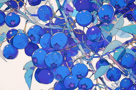 成熟的蓝莓食物插画