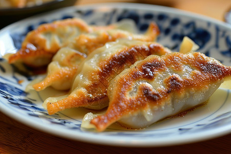 碗中的煎饺煎饺素材高清图片