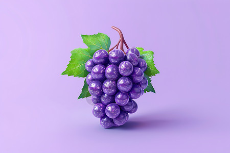 葡萄水果一串葡萄插画