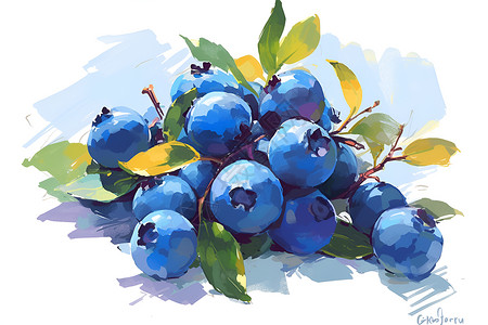 手绘新鲜水仙花美味的蓝莓插画