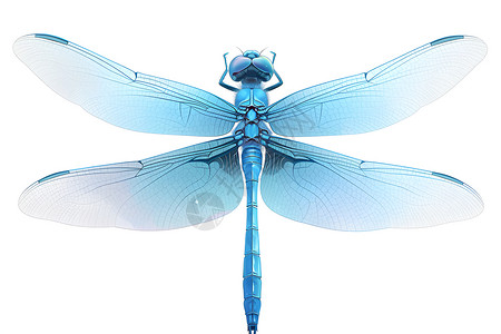 蓝色蜻蜓张开翅膀背景图片