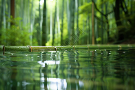池塘水面静谧的竹林上漂浮一根竹子设计图片
