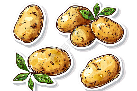 草寇食材可爱的土豆插画插画