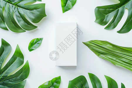 盒子与绿植绿叶中的盒子背景