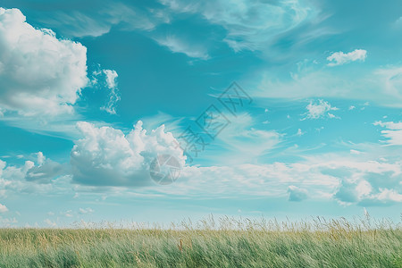 漂亮的草原漂亮的蓝天高清图片
