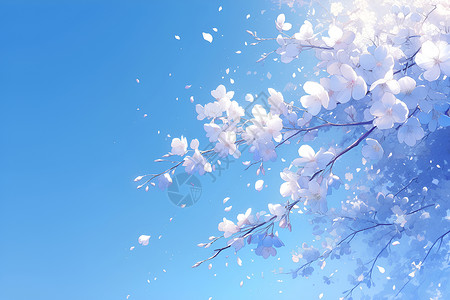 蔷薇科樱属植物树下飘落的樱花瓣插画