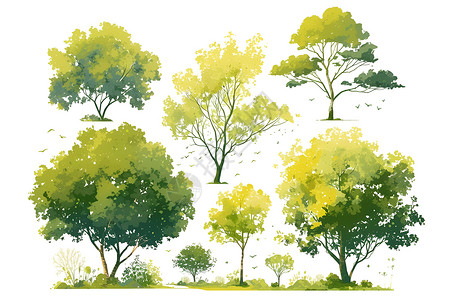 森林树树木灌木插画