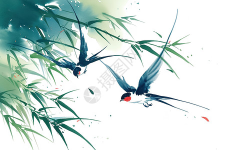 燕子的美丽插画背景图片