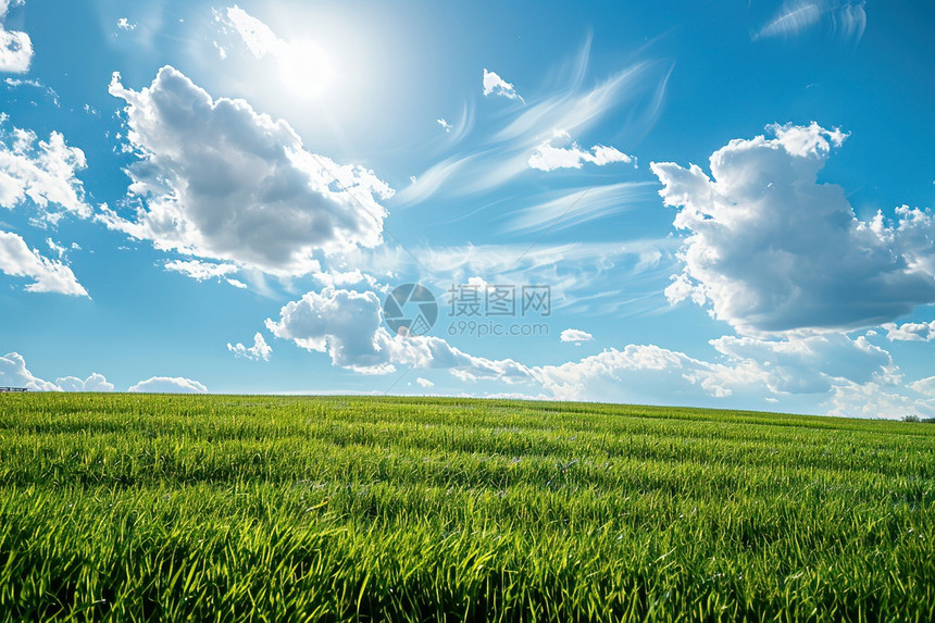 蓝天白云下的青草原图片