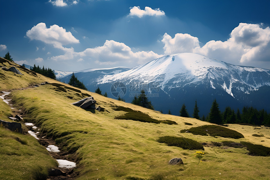 雪山和草地图片