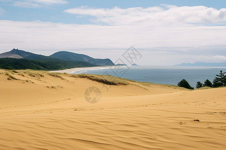 沙漠大海海边的沙滩背景